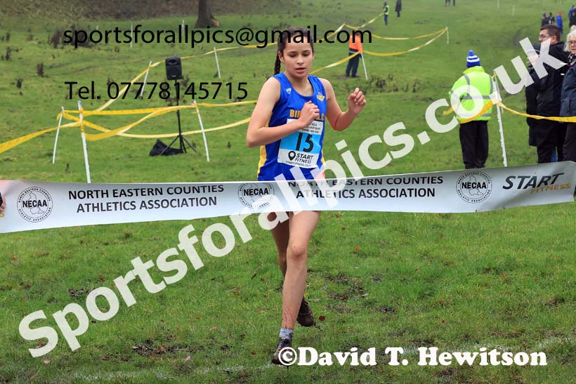 Girls under-13s 2023 NECAA Cross Country Relays, Thornley Hall Farm, Peterlee, County Durham. Photo: David T. Hewitson/Sports for All Pics